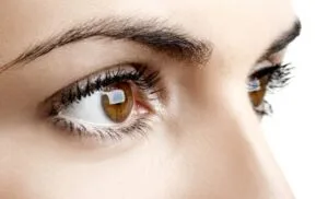 Close-up of eyebrows and eyelashes.