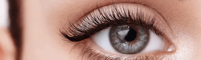 Eye lashes